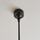 Photograph 5