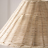 Photograph 6