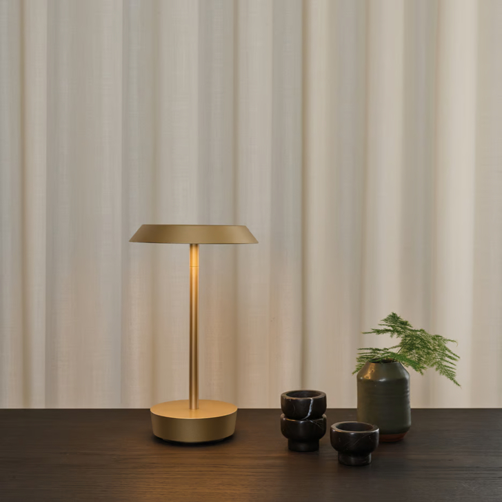 Astro Halo Light Bronze Portable Wireless Led Table Lamp