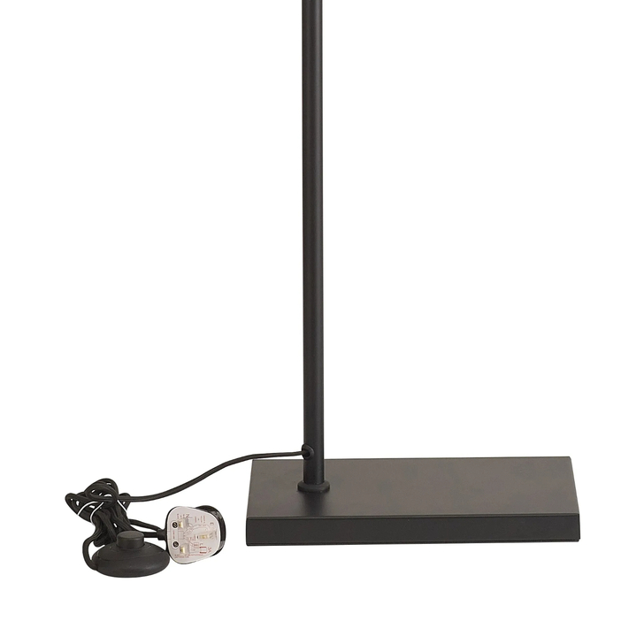 Idolite Devine Satin Black 1 Light E27 155cm Downward Floor Lamp Without Shade,