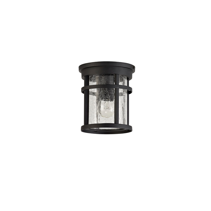 Idolite Ferringdon Black Exterior Flush Ceiling Light