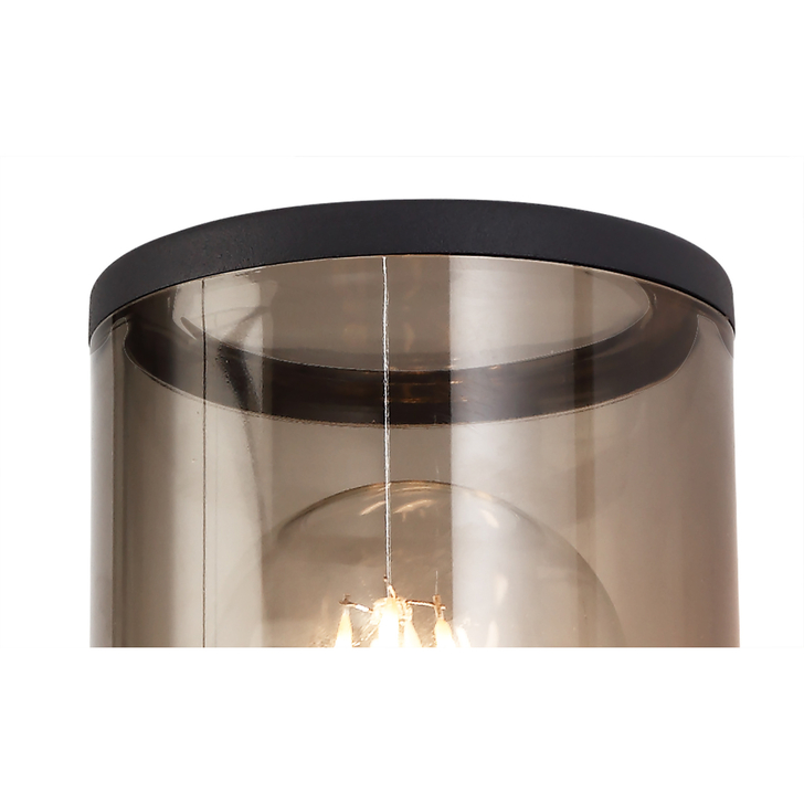 Idolite Hutt Anthracite Single Exterior Wall Light Complete With Smoked Glass - IP54