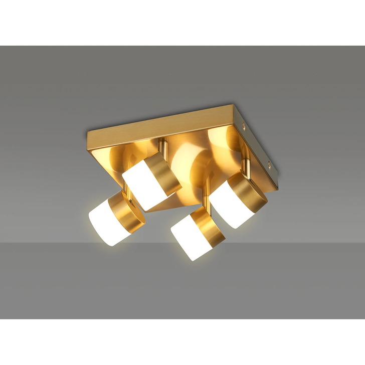 Idolite Licancabur Brass 4 Light LED Adjustable Spotlight - 3000K, IP44