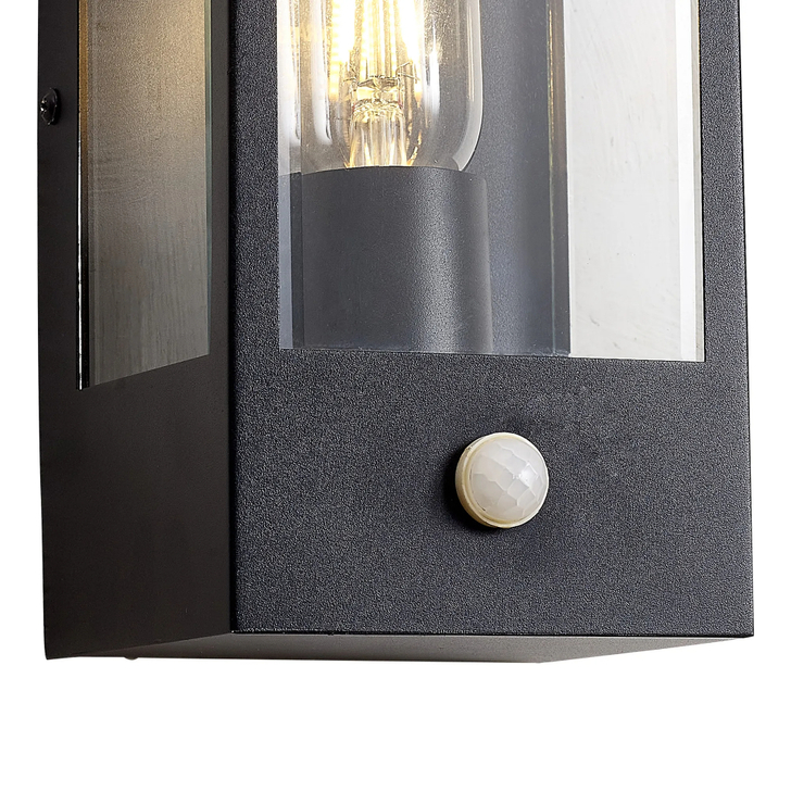 Idolite Sannee Rectangular PIR Wall Lamp 1 Light IP44 Matt Black/Clear