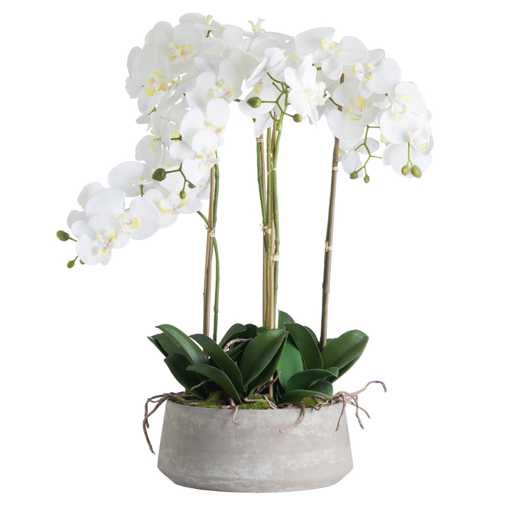 Large Artificial White Orchid Plant With Stone Pot