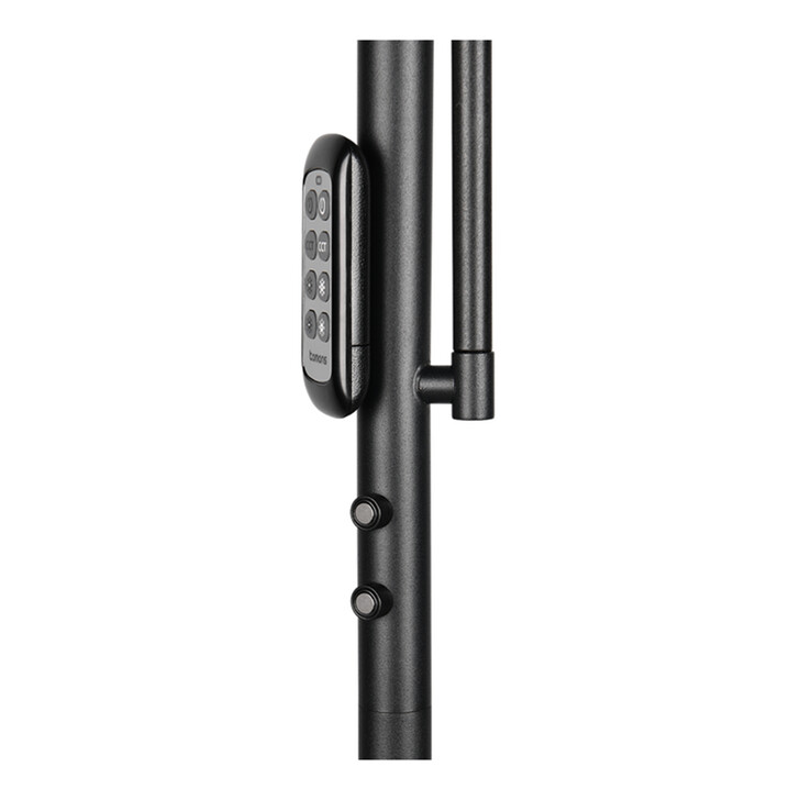 Trio Lighting Palermo Matt Black Mother & Child Adjustable Floor Lamp - Remote Control