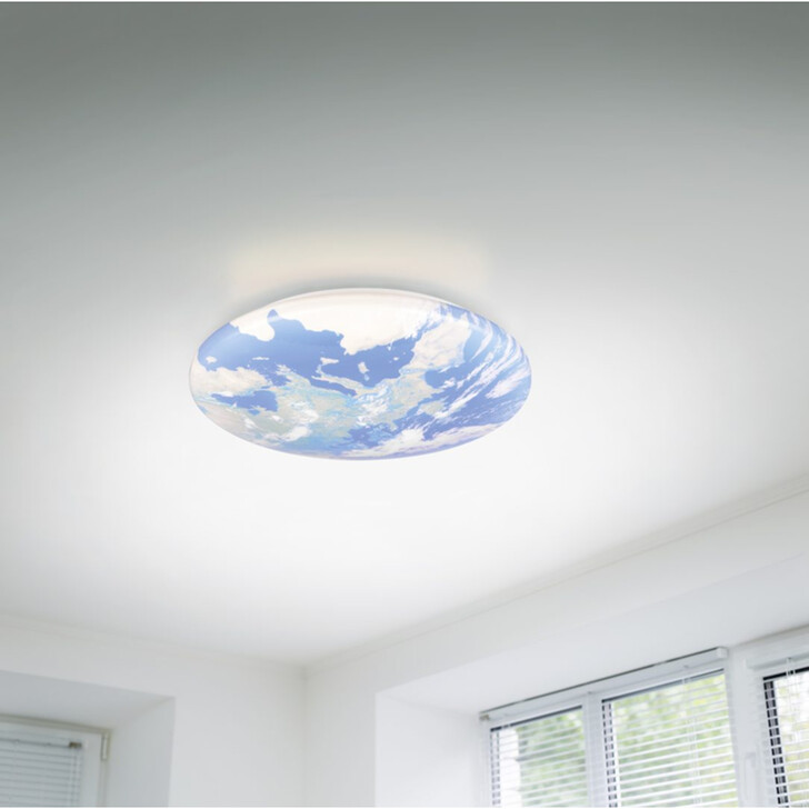 Trio Lighting Terra Flush Earth Style LED Ceiling Light - IP44