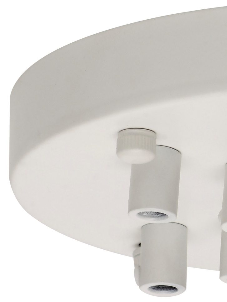 Matt White 9 Hole Ceiling Rose With Cable Clamps