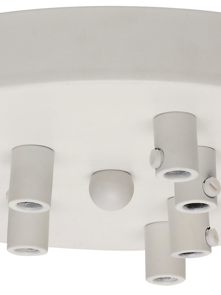 Matt White 9 Hole Ceiling Rose With Cable Clamps