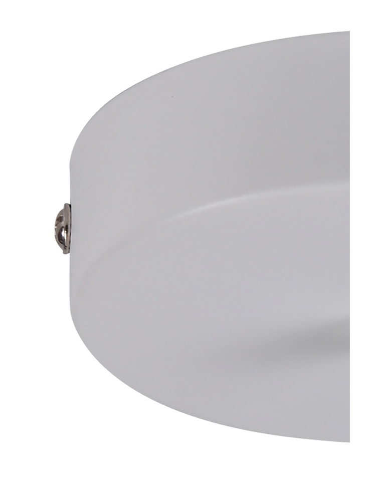 Matt White Ceiling Rose With Cable Clamp