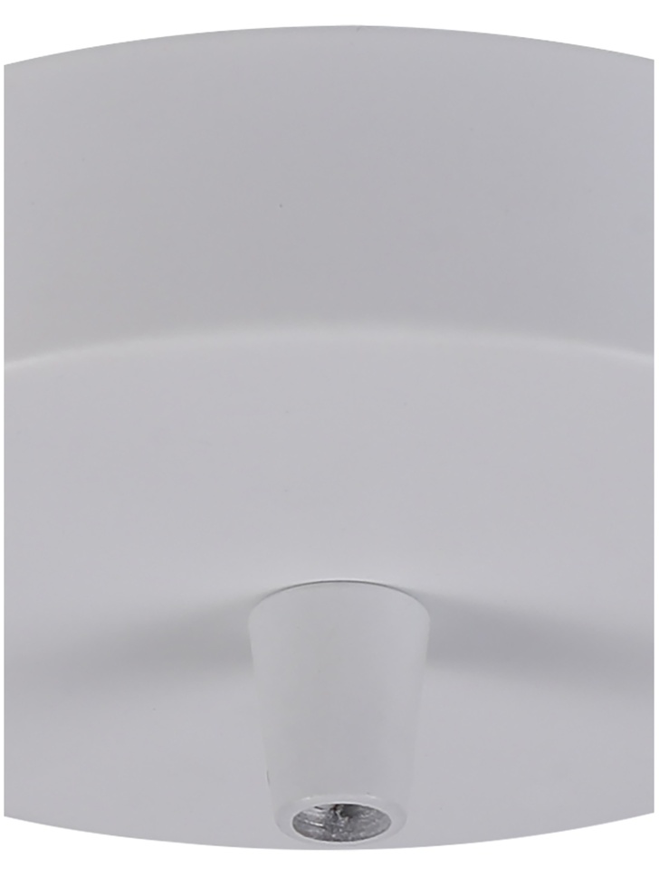 Matt White Ceiling Rose With Cable Clamp