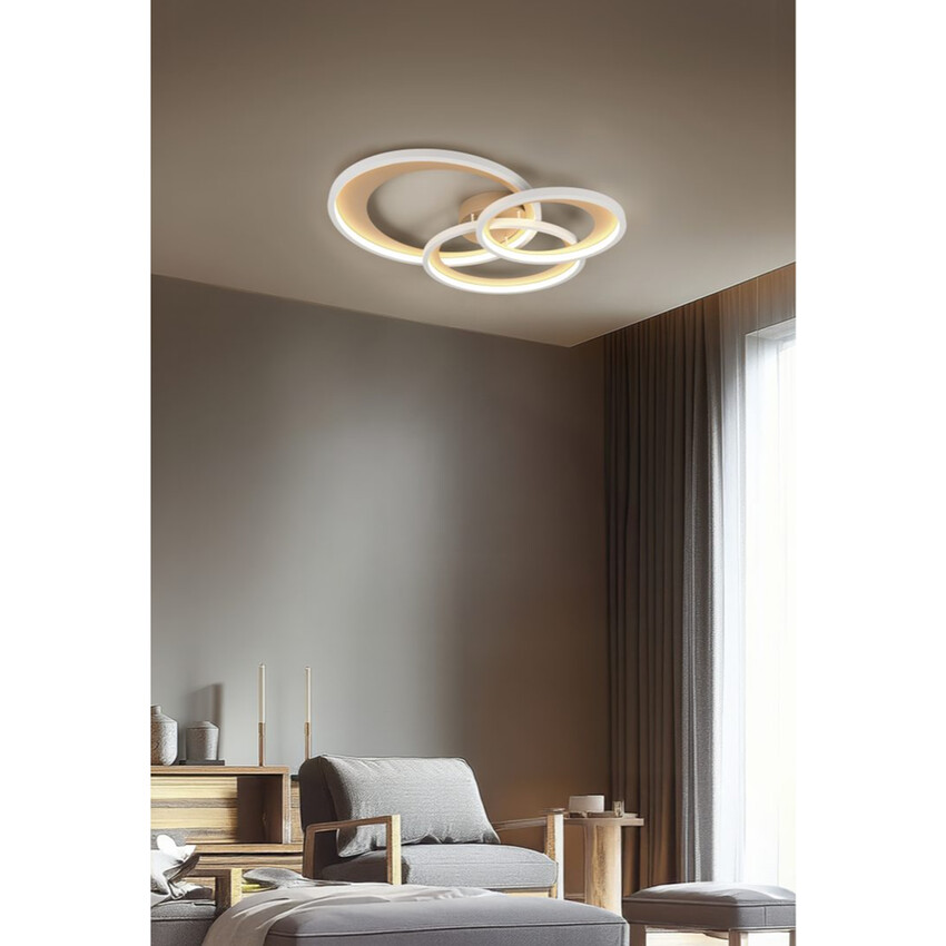 Photograph 2
