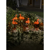 Photograph: Acrylic Flamingo 5 Piece Set 40 White Led IP20