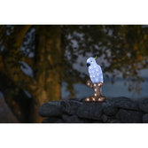 Photograph: Acrylic Parrot 47cm 48 White Led, IP20