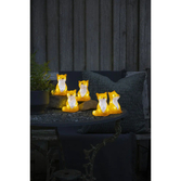 Photograph: Acrylic Sitting Foxes, 5 Piece Set 5 x 8 Warm White Led IP20