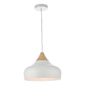 Photograph: Dar Gaucho GAU0102 Matt White Single Pendant