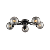 Photograph: Franklite Prophecy Matt Black 5 Light Flush Ceiling Light Complete With Round Smoke Glass Shades