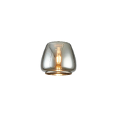 Photograph: Idolite Devine 16x14cm Chrome Plated Jar Glass Shade