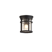 Photograph: Idolite Ferringdon Black Exterior Flush Ceiling Light