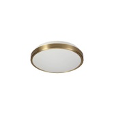 Photograph: Idolite Wantsun Soft Bronze Flush Led Ceiling Light - 4000K, IP44