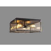 Photograph: Idolite Wiredu Matt Black & Polished Chrome 4 Light Flush Ceiling Light With Clear Glass Panels