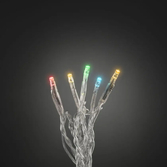 Photograph: Light Set 100 Multi Colour Led Transparent Wire Indoor IP20