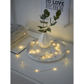 Photograph: Light Set 40 Warm White Led, Copper Wire, Indoor 6h Timer BO