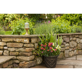 Photograph: Navigator Wellington Raw Brass Small Post Lantern Complete With Clear Ribbed Glass - IP54, Solid Brass, Coastal