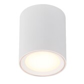 Photograph: Nordlux Fallon Long Surface Downlight White/White