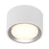 Photograph: Nordlux Fallon Surface Downlight White/Steel