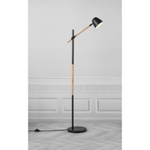 Photograph: Nordlux Theo Floor lamp Black