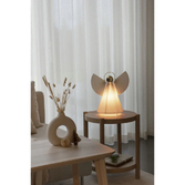 Photograph: Paper Angel 36cm, E14 Lamp with Switch. 230V