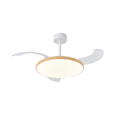 Photograph: Slim Fan 50cm 50W LED Dimmable Ceiling Light With Built-In 30W DC Fan: 2700-5000K Remote Control: 3500lm: Wood