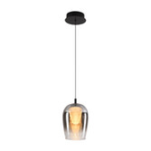 Photograph: Stylish Lighting Equator Black And Smoked Led Single Pendant Light