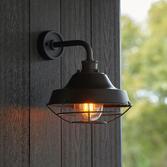 Photograph: Thorlight Berne Matt Black Caged Exterior Wall Light With Clear Glass