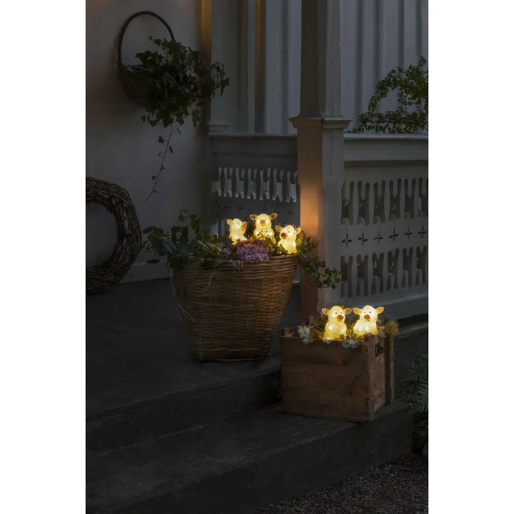Acrylic Pigs 5 Piece Set 5 x 8 Warm White Led IP20
