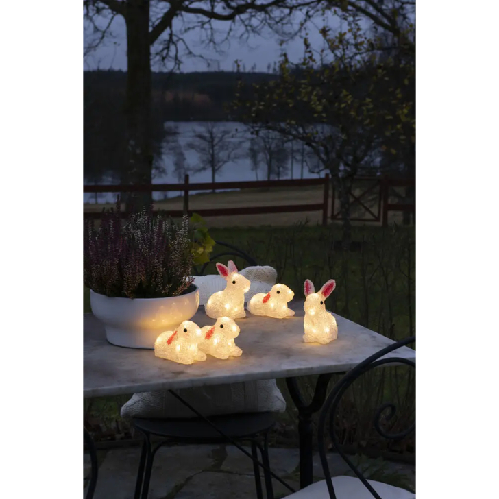 Acrylic Rabbits 5pcs/set 5 x 8 Warm White Led IP20