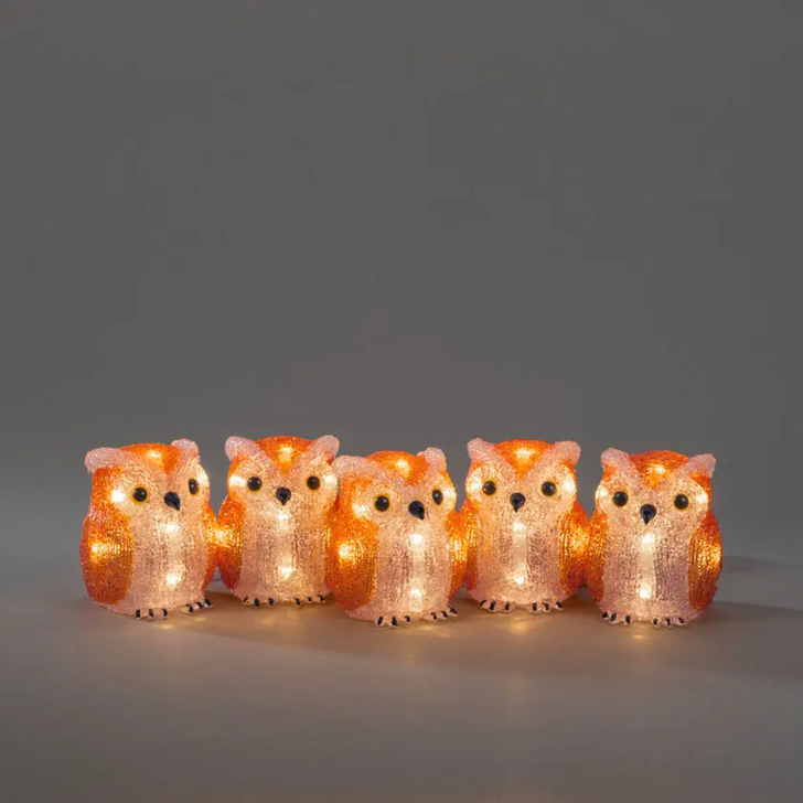 Five owls 10cm, acrylic with Warm White Led