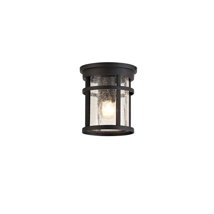 Idolite Ferringdon Black Exterior Flush Ceiling Light