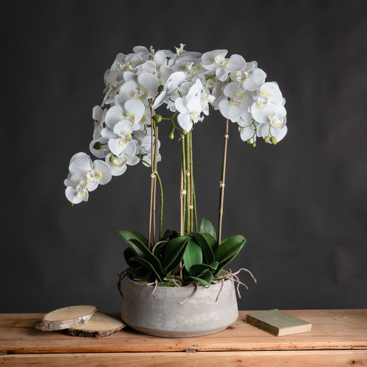 Large Artificial White Orchid Plant With Stone Pot