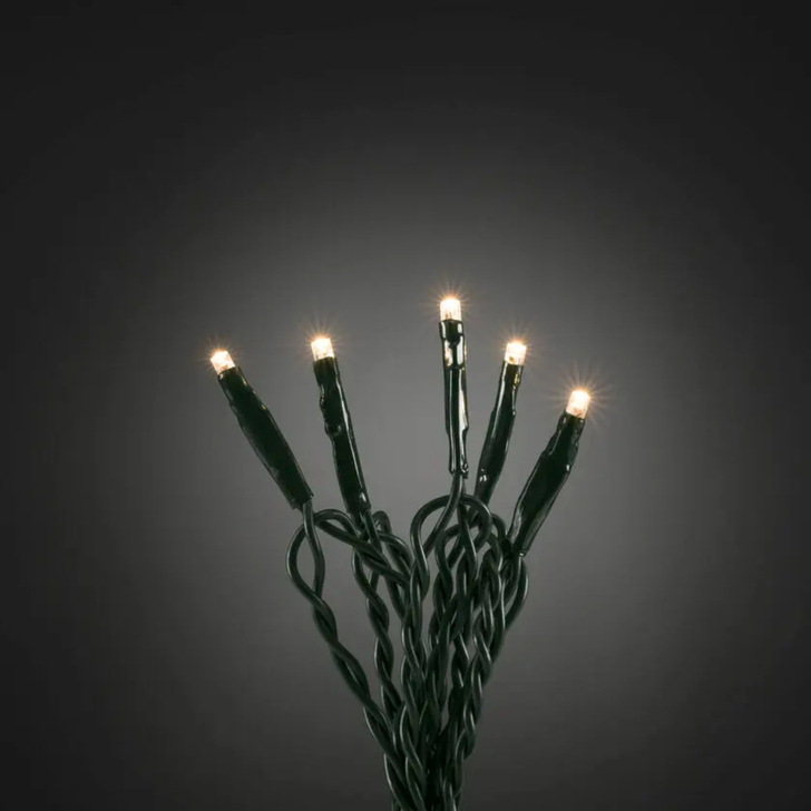 Light Set 50 Warm White Led Dark Green Wire Indoor IP20