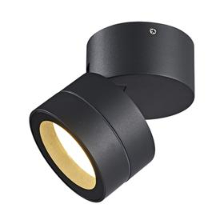 Mantra Saler Dark Grey IP65 Adjustable Ceiling/Wall Outdoor Light