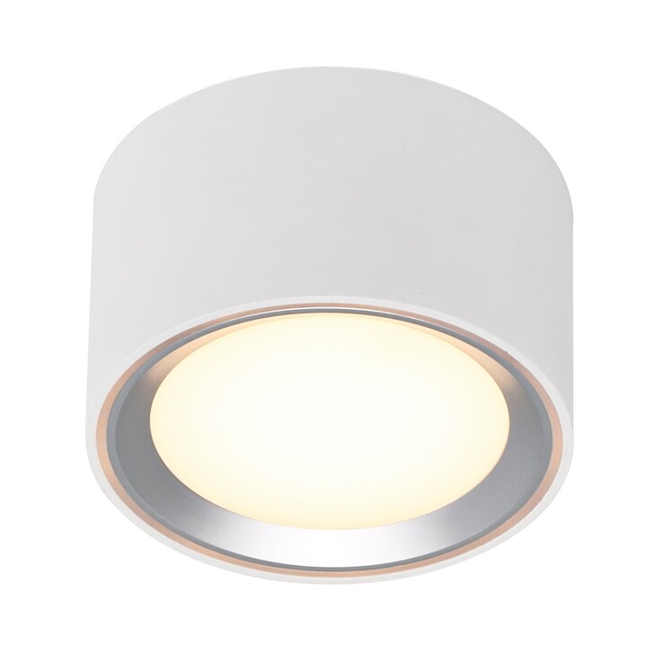 Nordlux Fallon Surface Downlight White/Steel