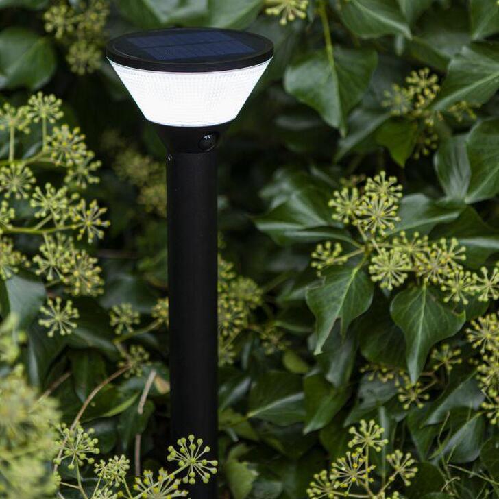 Solar Powered Bollard Light In Black With Pir Motion Sensor & Spike - 2700K-6500K + RGB, IP44