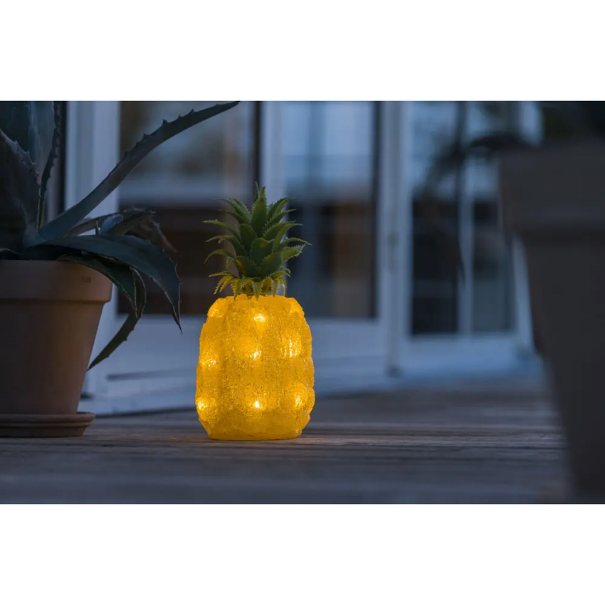 Photograph: Acrylic Pineapple 16 Warm White Led, IP20