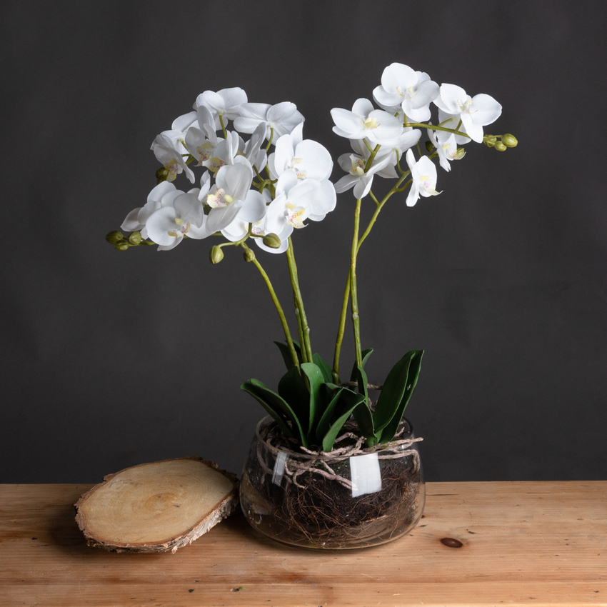 Photograph: Artificial White Orchid Plant With Clear Glass Pot