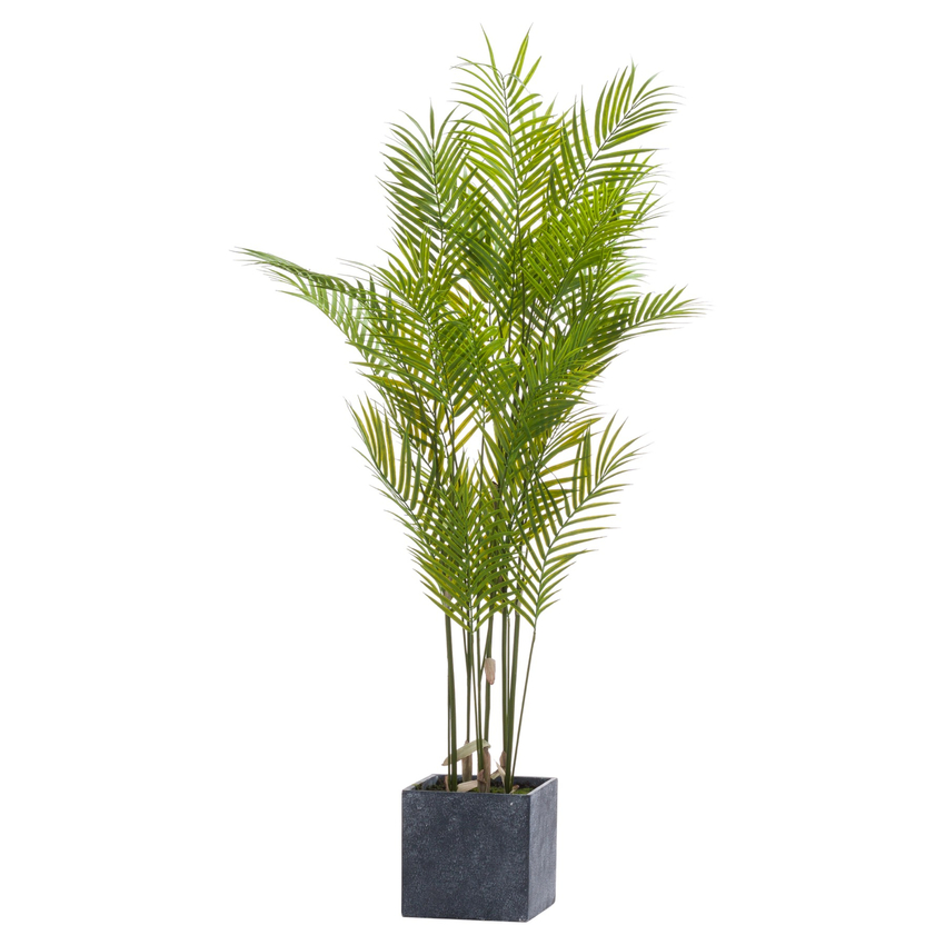 Photograph: Large Artificial Paradise Palm Tree With Cube Plant Pot