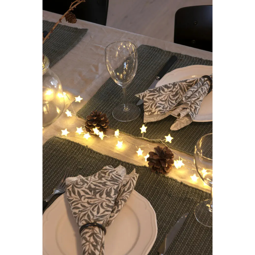 Photograph: Light Set with stars, 90 Warm White Led. Silver wire, IP20