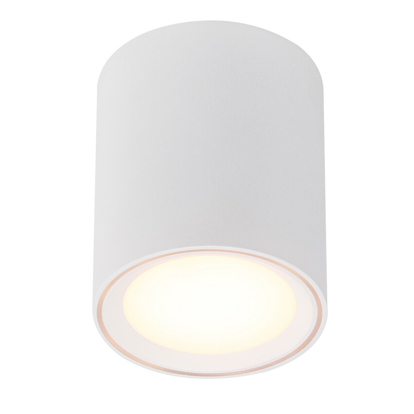 Photograph: Nordlux Fallon Long Surface Downlight White/White