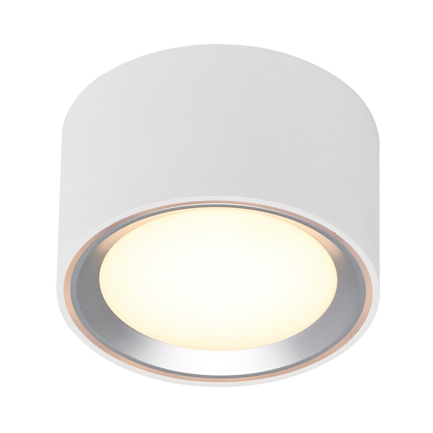 Photograph: Nordlux Fallon Surface Downlight White/Steel